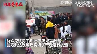 石家庄高校爆料视频最新,揭秘校园生活幕后真相